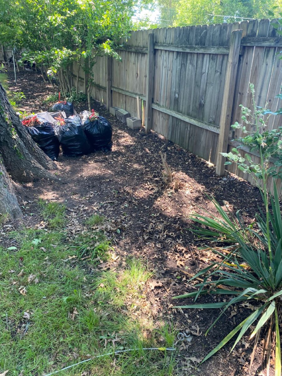 Yard Debris Removal